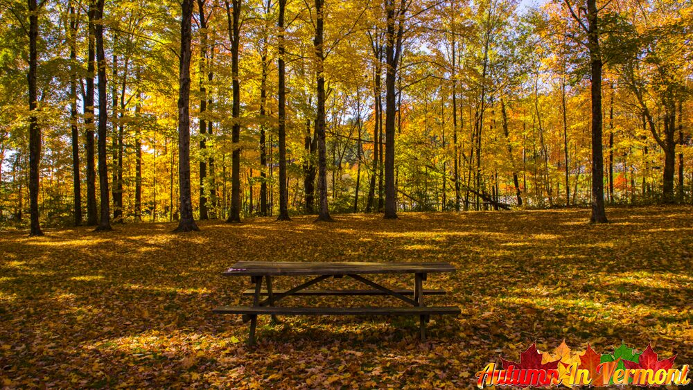 Autumn in Vermont 195