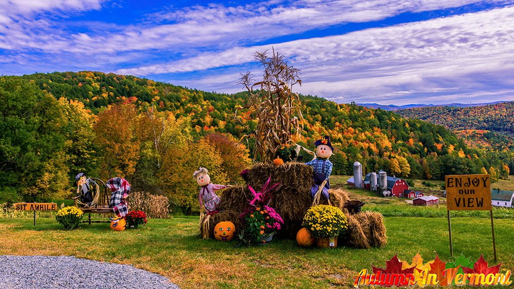 Hillside Acres Farm Barnet Vermont October 4 2022 4