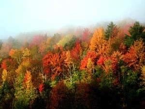 VermontFoliage 300x225 1