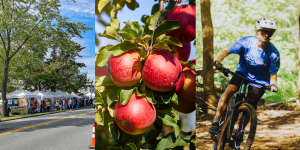 Festival Biking, harvest, and festival vendors