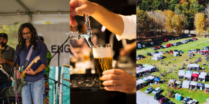 Festival highlights