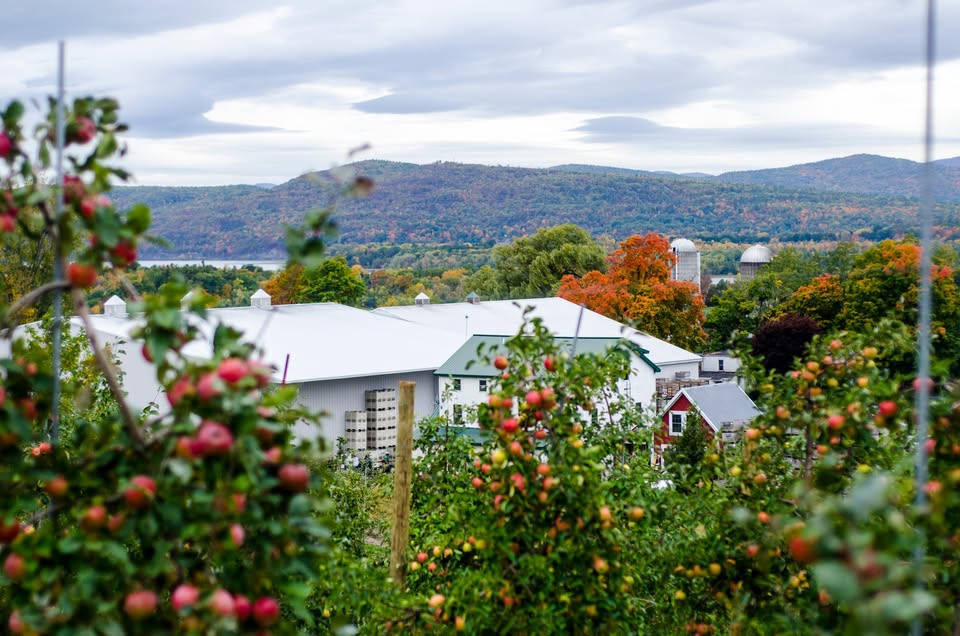 Champlain Orchards