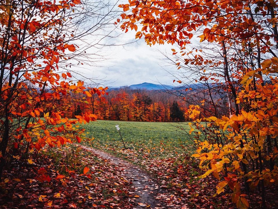 Autumn in Okemo Valley 2