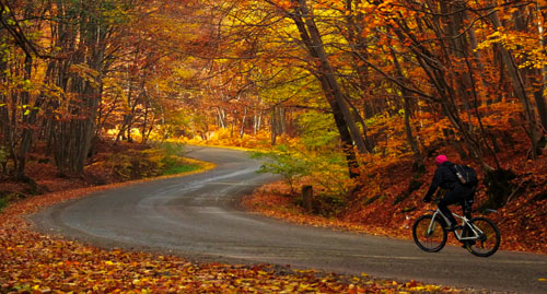 We LoVermont - Biking
