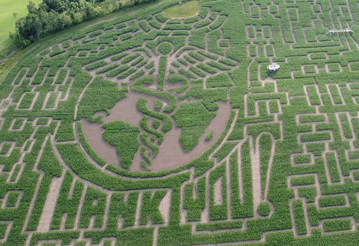We LoVermont - Corn Mazes