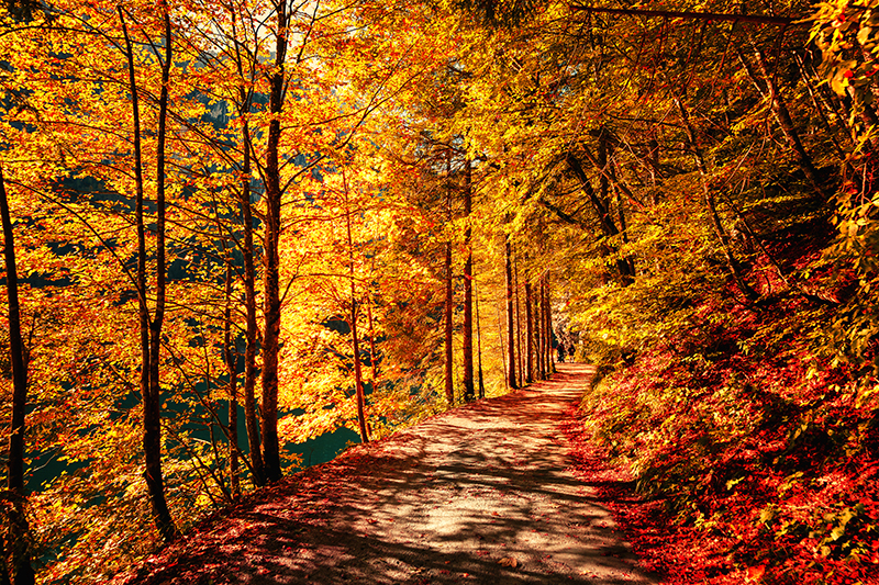 We LoVermont - Scenic Drives