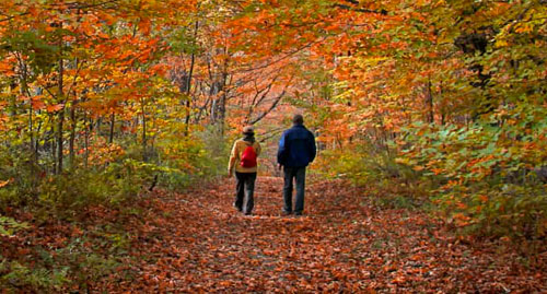 We LoVermont - Hiking