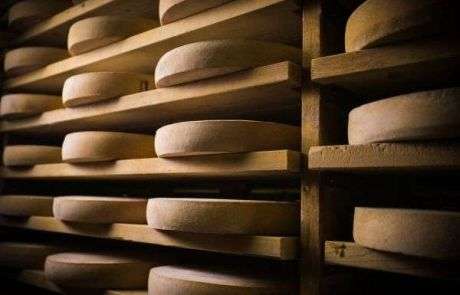 cheese-week-aging cheese week aging 460x295 1