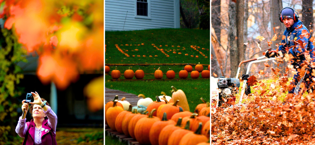 Autumn things to do in fall in bennington vermont 1024x473 1