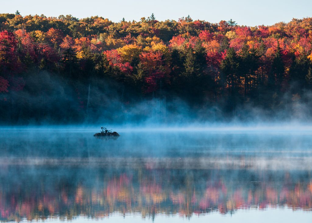 Fall foliage around Adams Reservoir in Woodford State Park, Vermont.