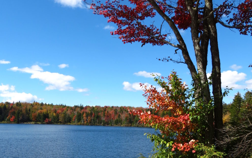 grout pond edited 1024x640 1