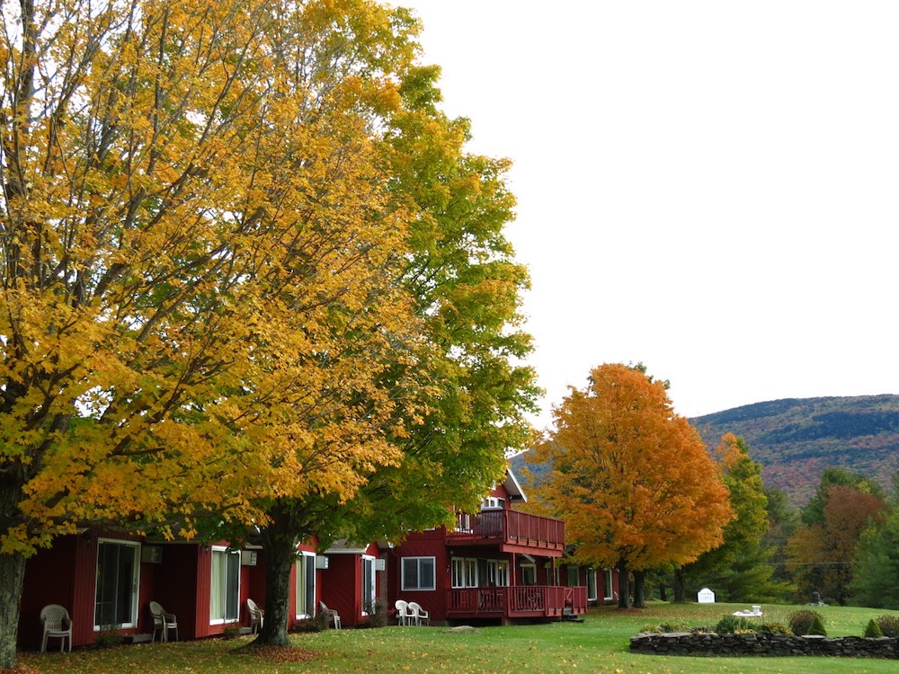 lodge building foliage
