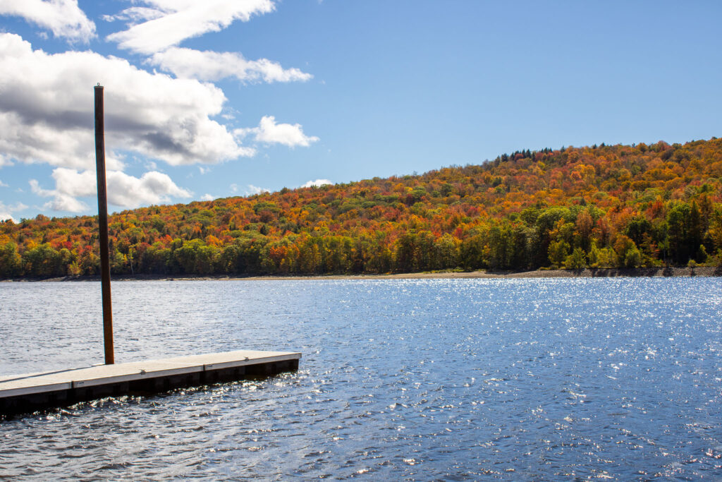 Foliage 9 26 25 1 1024x683 1