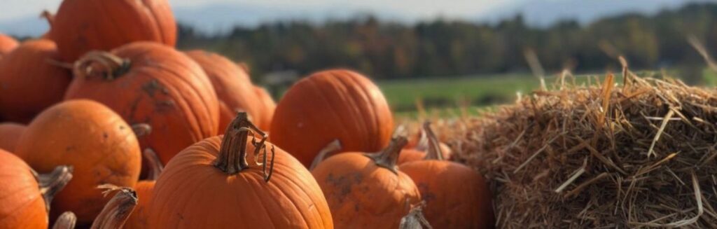fall