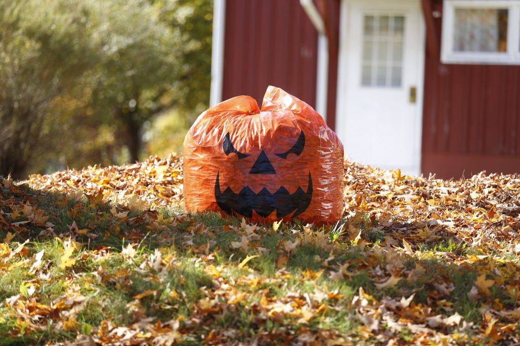 fall foliage bennington vermont 8 1024x683 1