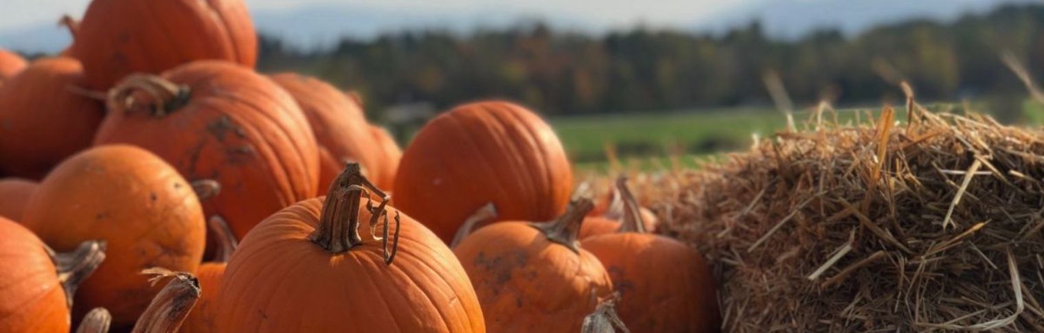 fall