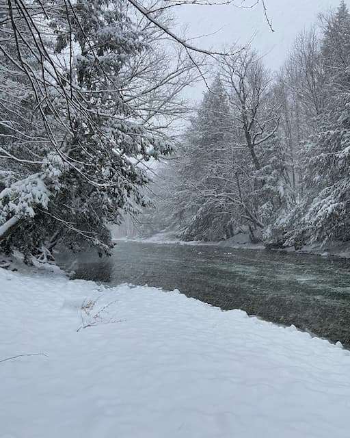 Snow-covered trees and icy river in the backyard of our Vermont lodge