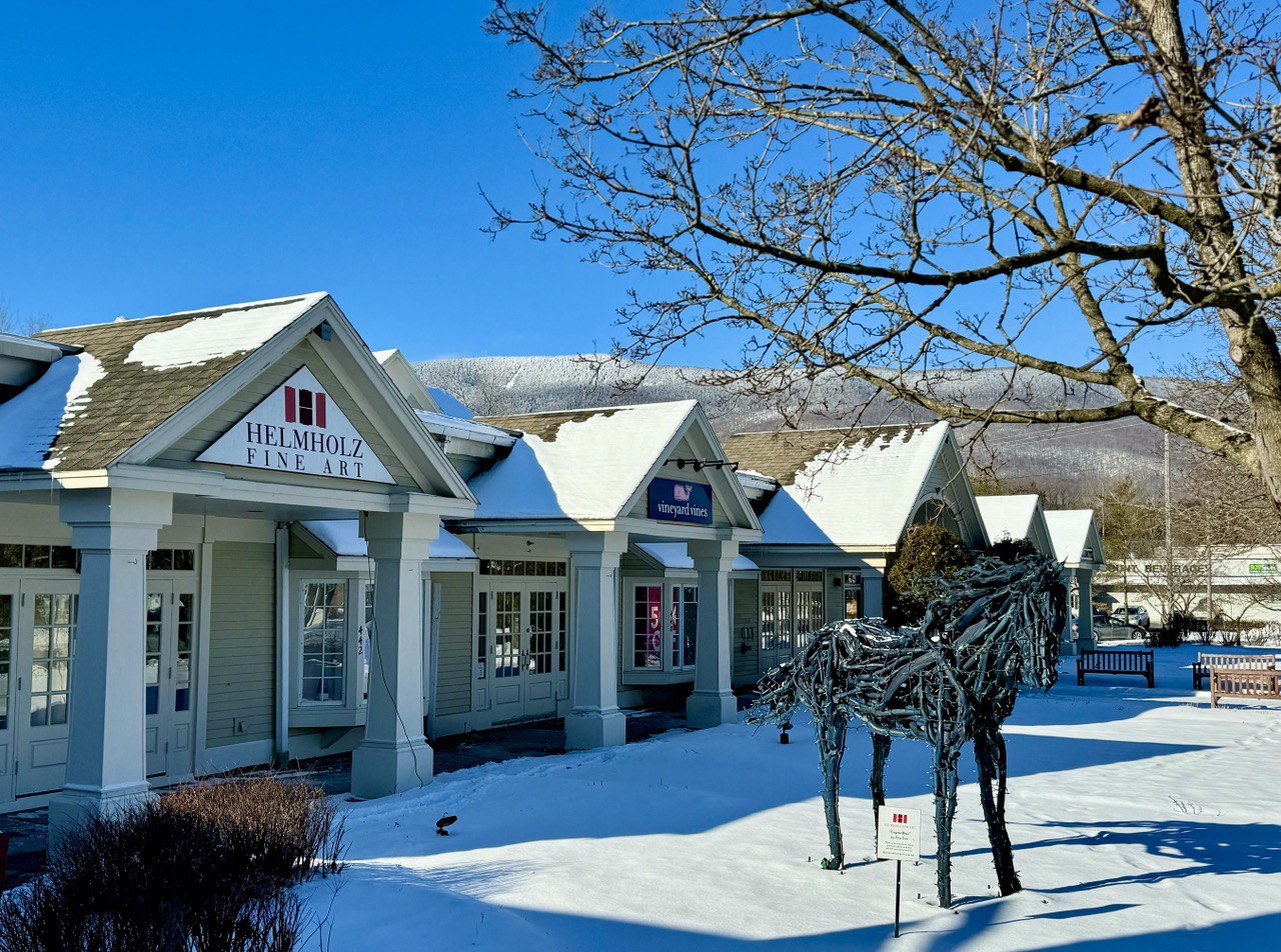 Winter Shopping