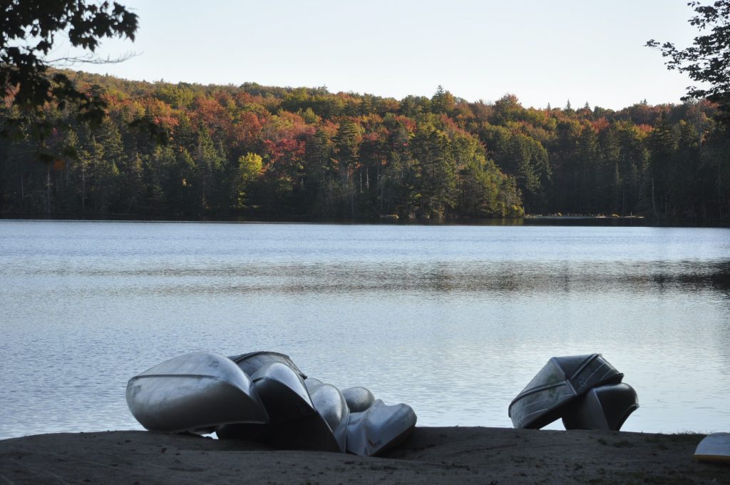 woodfordSTpark 3 1024x680 1