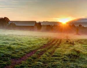 vonTrappFarm4 web 300x236 1