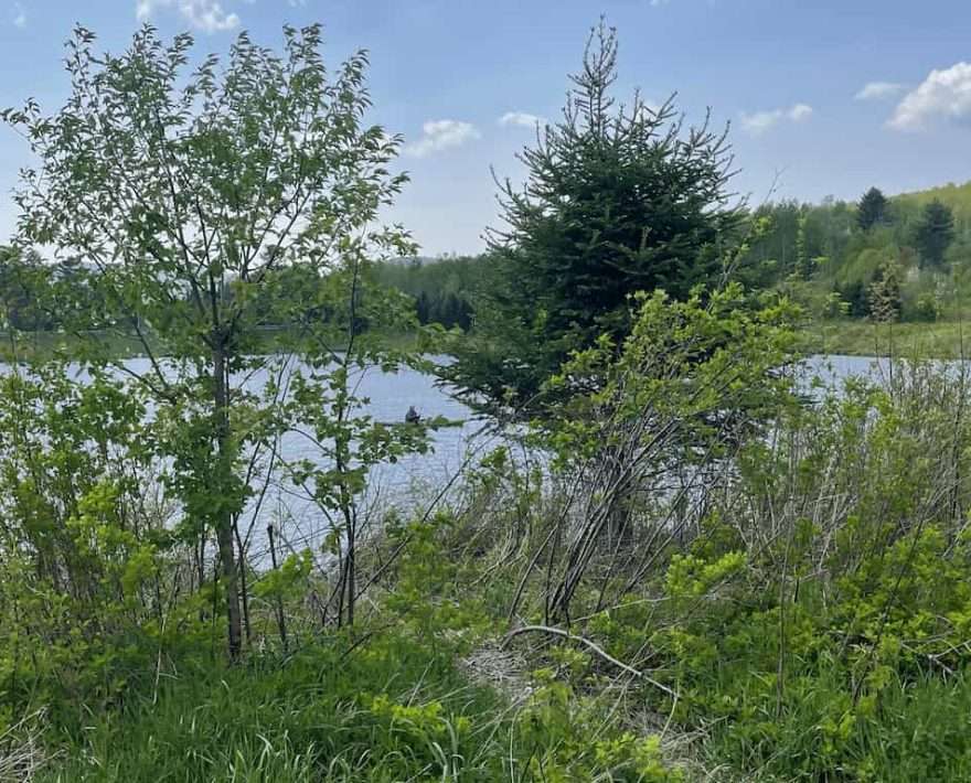 A pond in Warren Vermont