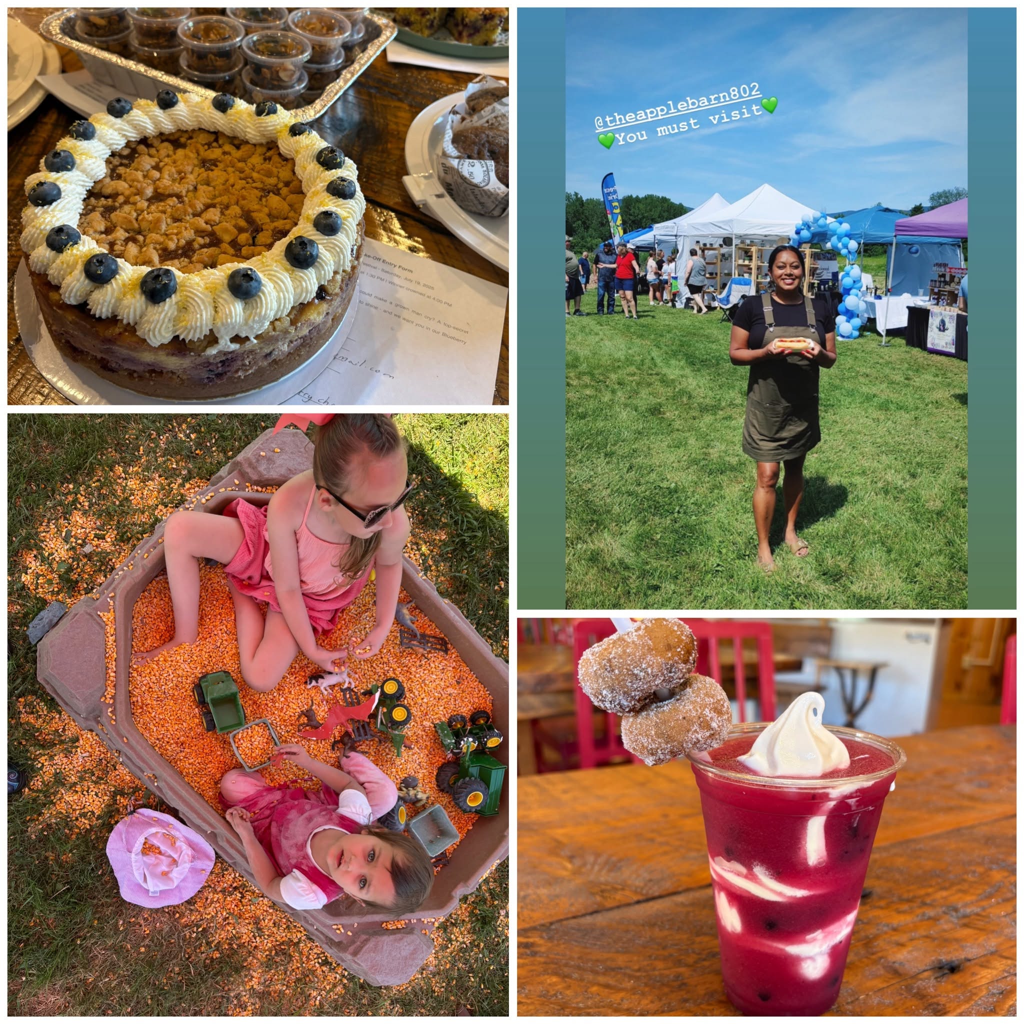 Apple Barn Bennington Vermont Blueberry Festival