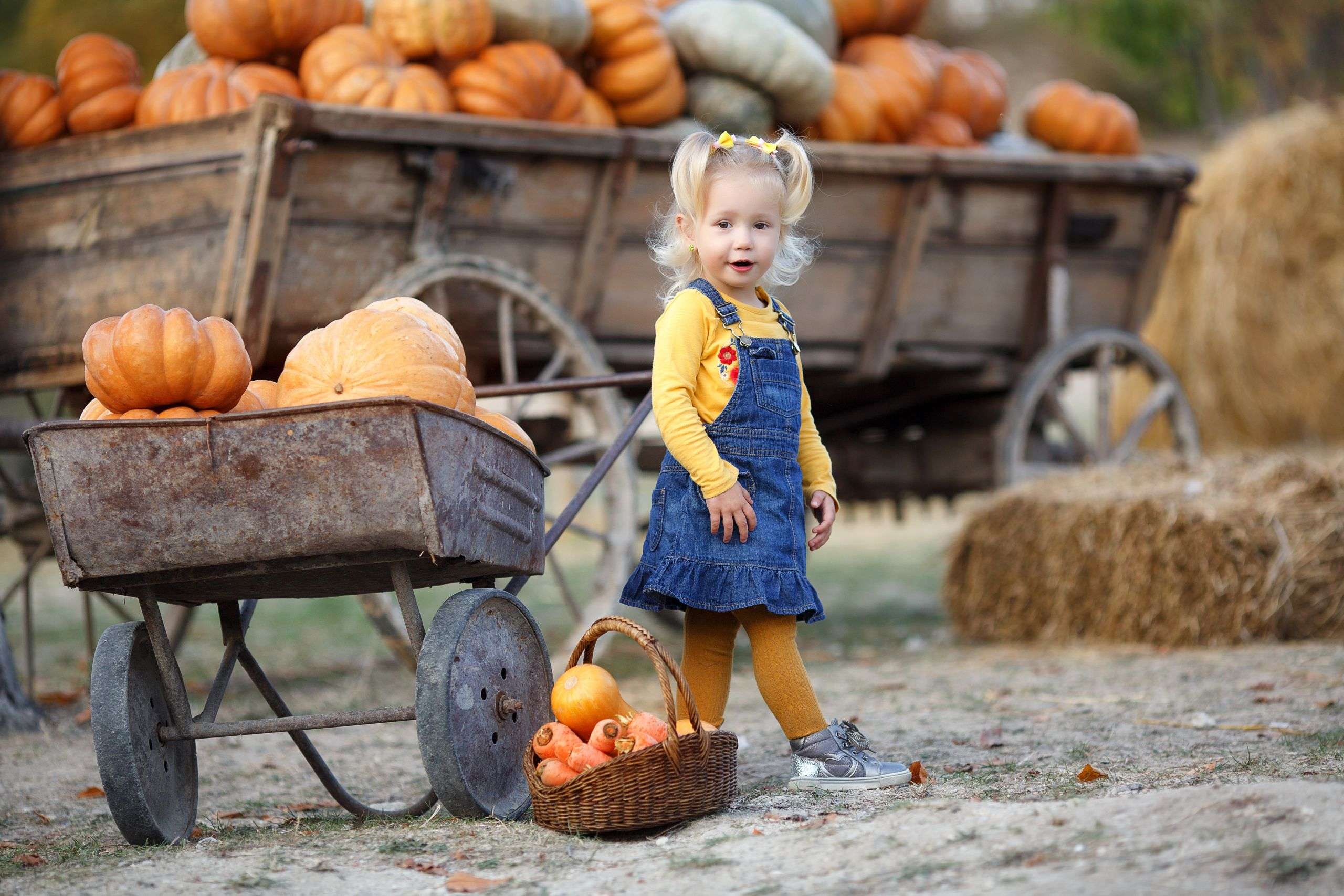 Child picking pumpkins at pumpkin patch. Little toddler girl playing among squash at farm market. Family time at Thanksgiving and Halloween.Little girl having fun on a tour of a pumpkin farm at autumn girl with pumpkins scaled 1