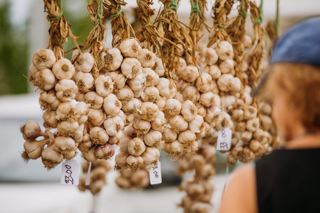 Garlic Town Farmers Market Produce Vermont 10 1024x683 1
