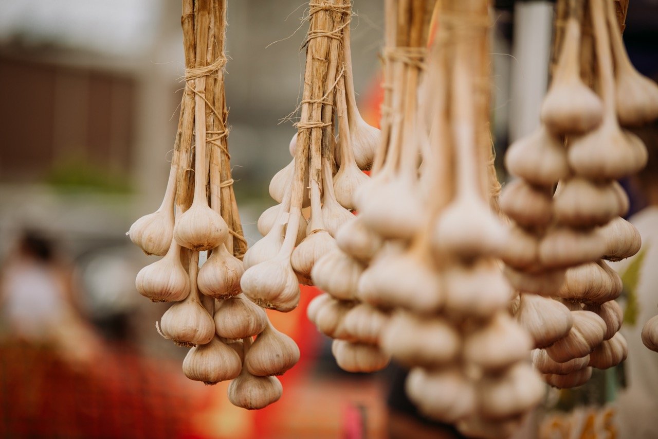 Garlic Town Farmers Market Produce Vermont 7 Large