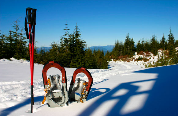 Snowshoeing in Vermont 5