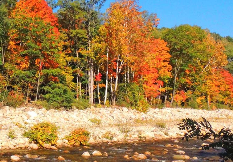 fall foliage scenic drive rocky stream in bennington vermont
