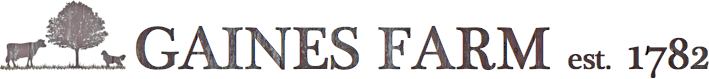 logo2